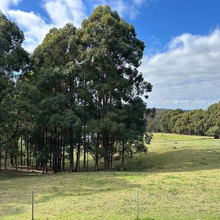 Blueberry Hills On Comleroy Farmstay - Self-Contained Cottages Kurrajong المظهر الخارجي الصورة