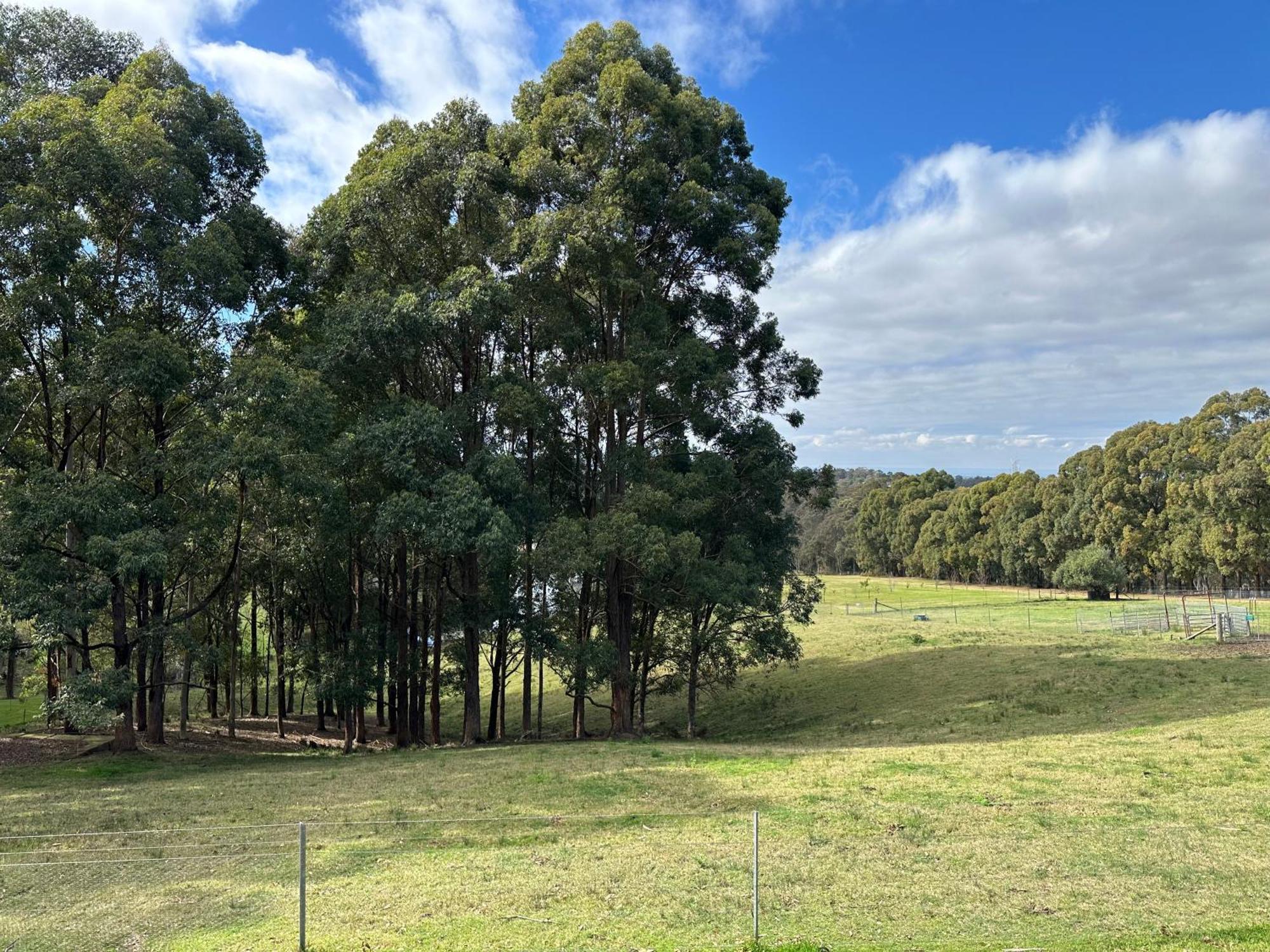 Blueberry Hills On Comleroy Farmstay - Self-Contained Cottages Kurrajong المظهر الخارجي الصورة