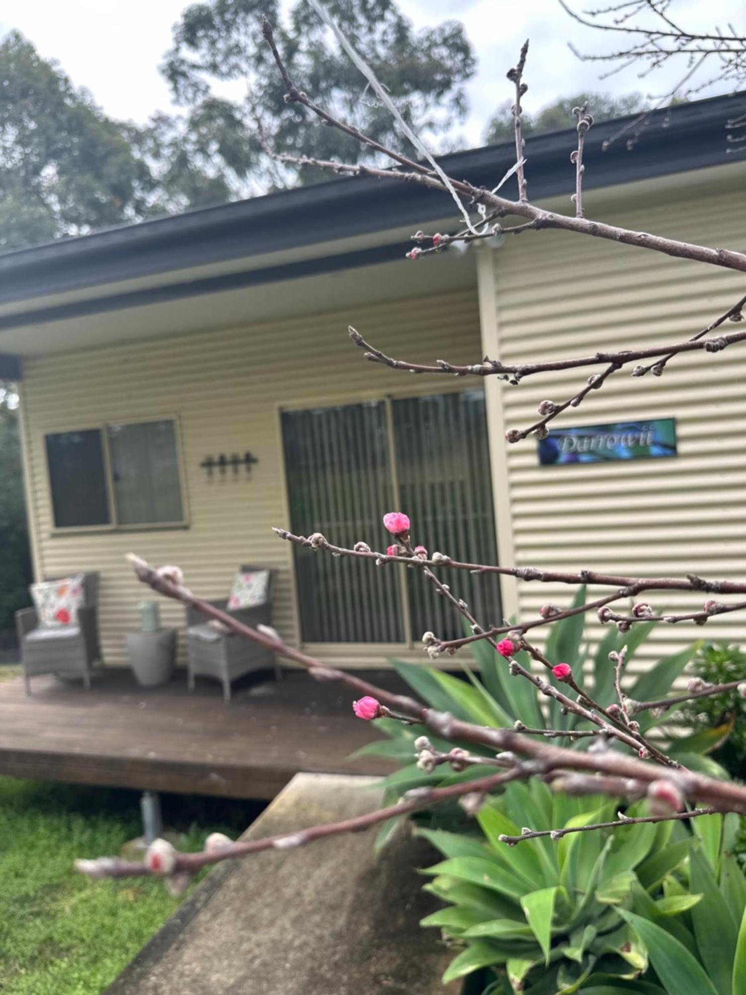 Blueberry Hills On Comleroy Farmstay - Self-Contained Cottages Kurrajong المظهر الخارجي الصورة