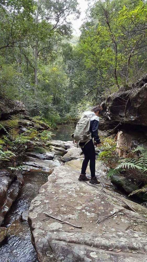 Blueberry Hills On Comleroy Farmstay - Self-Contained Cottages Kurrajong المظهر الخارجي الصورة