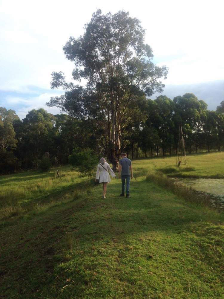 Blueberry Hills On Comleroy Farmstay - Self-Contained Cottages Kurrajong المظهر الخارجي الصورة