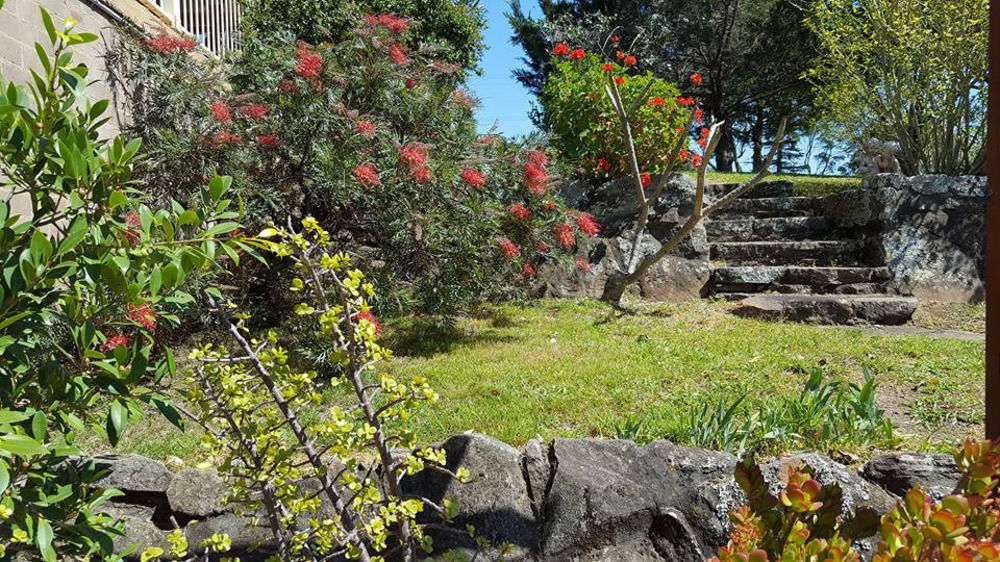 Blueberry Hills On Comleroy Farmstay - Self-Contained Cottages Kurrajong المظهر الخارجي الصورة