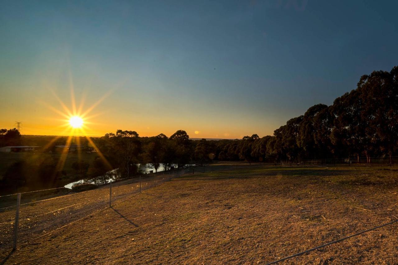 Blueberry Hills On Comleroy Farmstay - Self-Contained Cottages Kurrajong المظهر الخارجي الصورة