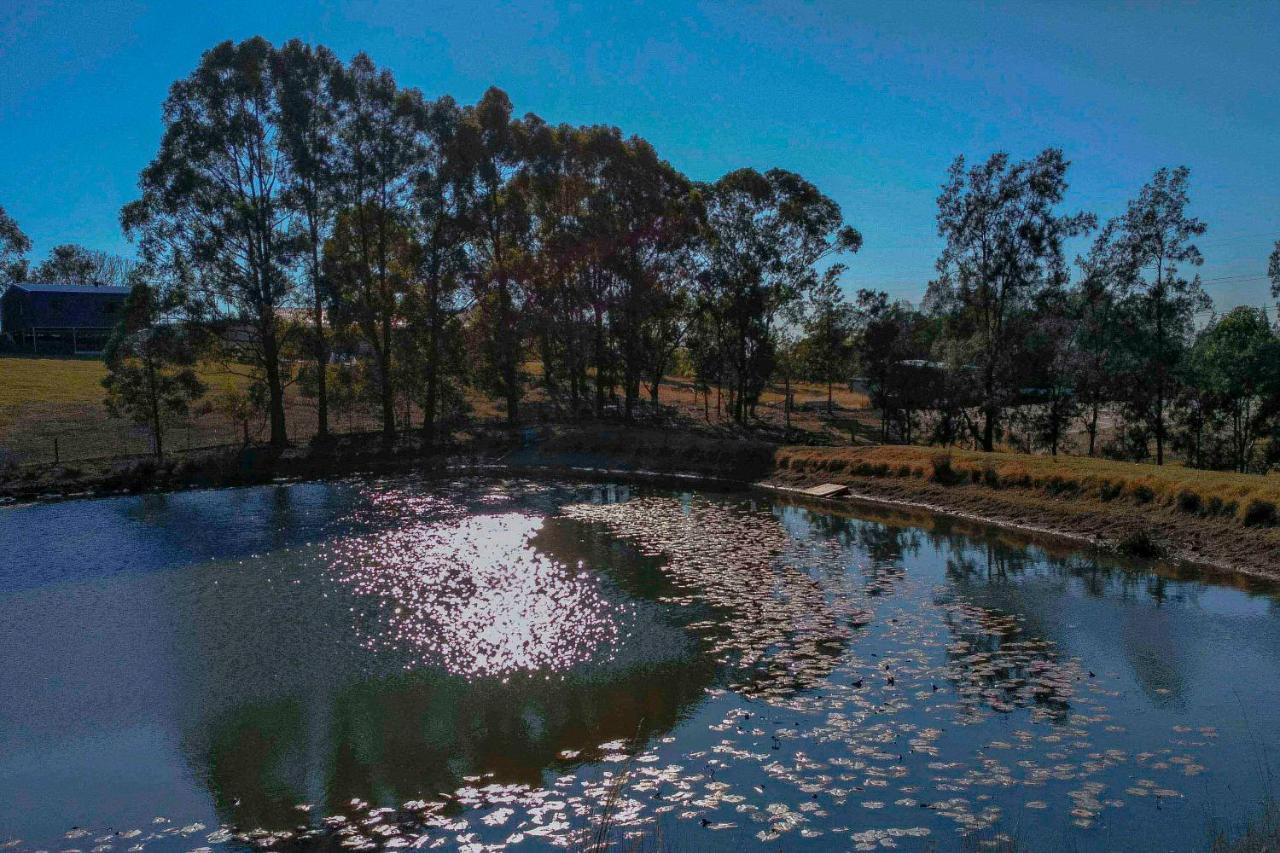Blueberry Hills On Comleroy Farmstay - Self-Contained Cottages Kurrajong المظهر الخارجي الصورة