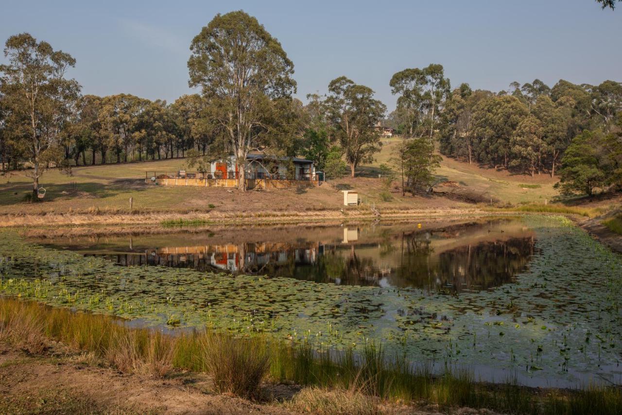 Blueberry Hills On Comleroy Farmstay - Self-Contained Cottages Kurrajong المظهر الخارجي الصورة